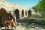 Mine clearance
