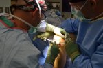 Keller's orthopedic research team earns a $750,000 grant to continue research to prevent ACL injuries