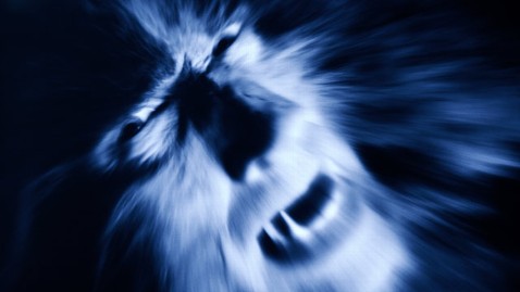 gty werewolf monster jt 120505 wblog Hug the Monster for Realistic Hope in Global Warming (or How to Transform Your Fearful Inner Climate)