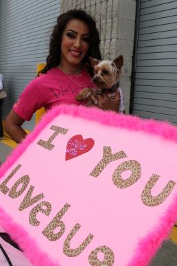 1st LAR Marines return from Afghanistan in time for Memorial Day
